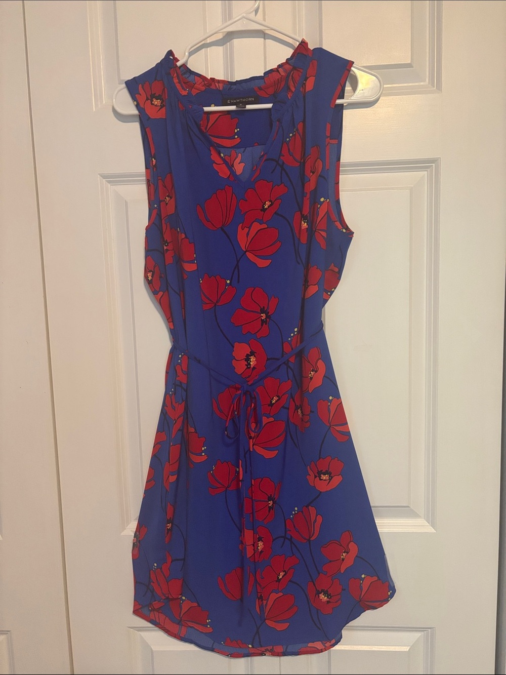 41 Hawthorn Blue Midi Dress with Red Floral Print